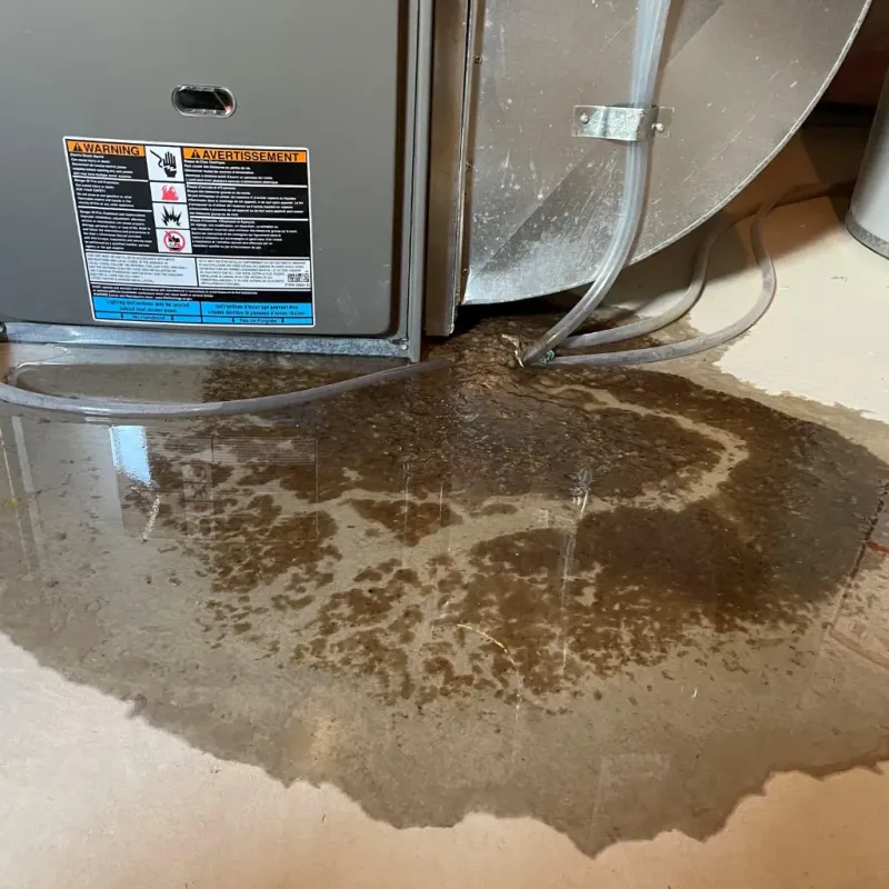 Appliance Leak Cleanup in Longview, NC